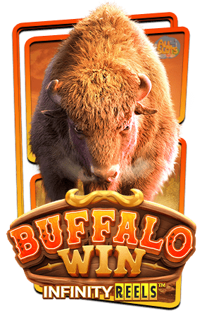 Buffalo Win