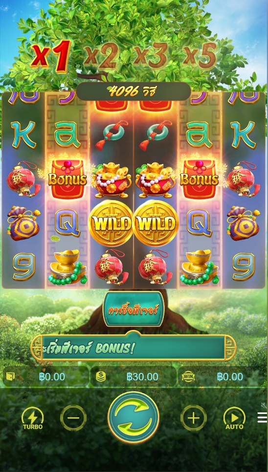 Prosperity Fortune Tree PG SLOT pgslotspin ฝาก ถอน