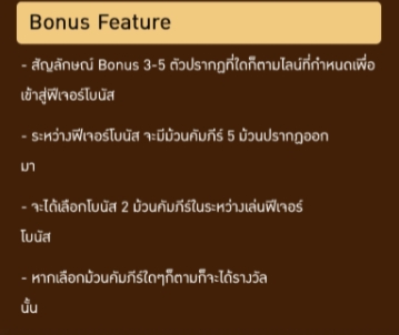 รางวัลและฟีเจอร์พิเศษของนักเดิมพัน นิน นิน ฟรุ๊ต